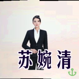 苏婉清